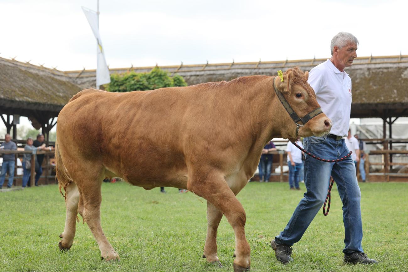 Higgyünk a szakmánk jövőjében!
