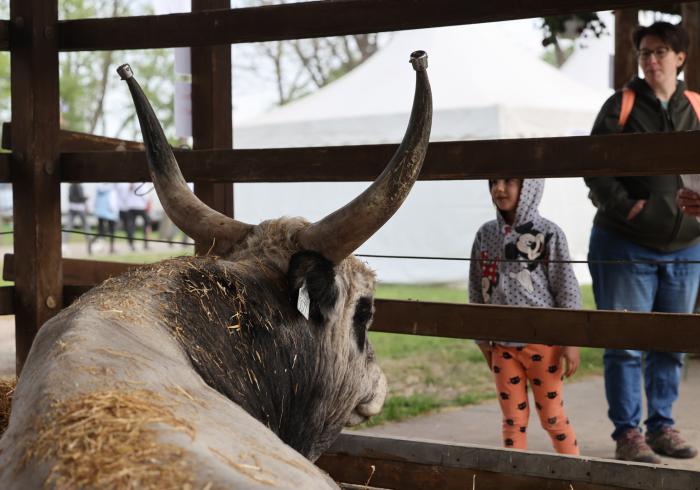 Dolgozzunk tovább együtt a sikeres magyar állattenyésztésért!