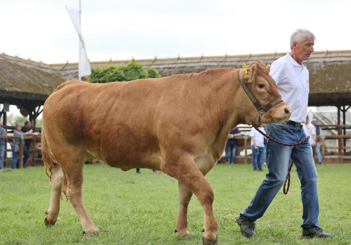 Higgyünk a szakmánk jövőjében!